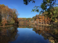 fall trees and blue sky with blue lake reflecting